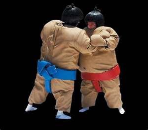 Sumo Suits in Minnesota MN