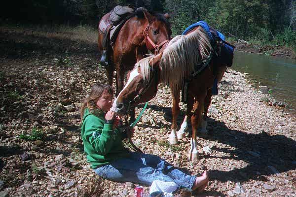 Animal Assisted Learning–horse based in Minnesota MN